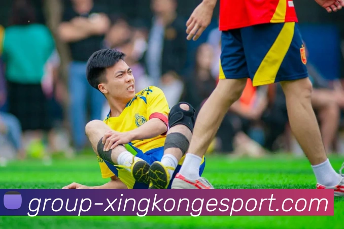 星空电竞平台生态图